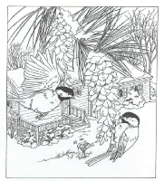 A coloring page of nature in the backyard